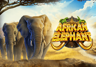 African Elephant screenshot